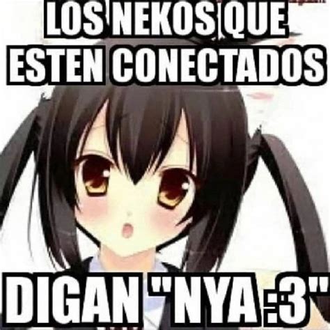 Dobló y chocló Anime Amino