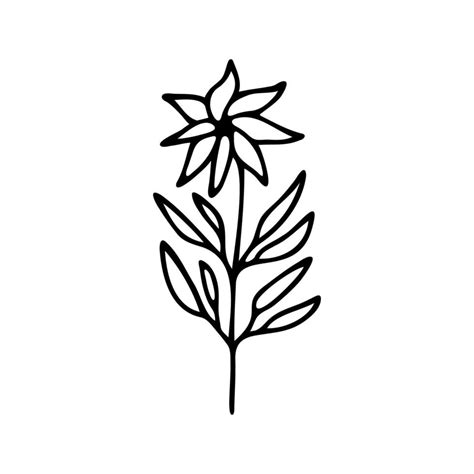 Hand Drawn Herbal Floral Clipart One Line Doodle Vector 20426527