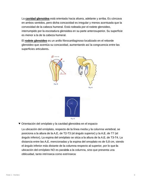 Solution Biomec Nica Del Miembro Superior Studypool