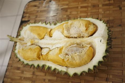 Eat Till Tummy Full Durian Balik Pulau New Market Penang