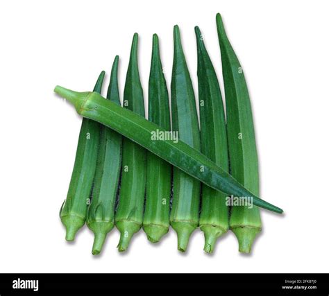 Okra Plant Hi Res Stock Photography And Images Alamy