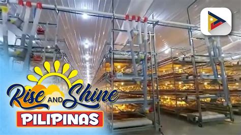 World Class At Pinakamalaking Poultry Farm Sa Davao Del Sur Binisita