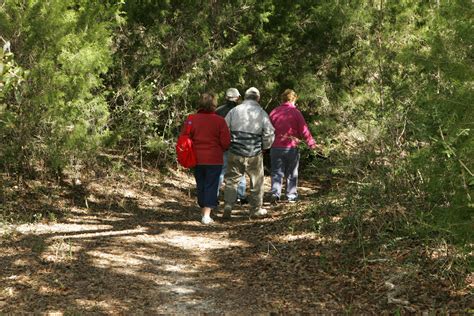 Free picture: hikers, enjoy, hike, wild, trail