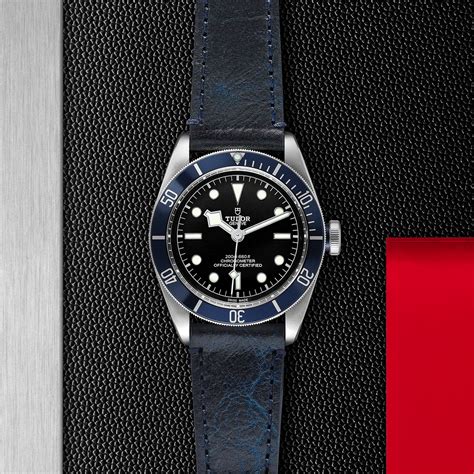 Maison Azuelos Purchase Tudor Black Bay Watch 41 Mm Steel Case Aged