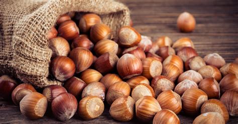 Everything You Need To Know About Hazelnuts Ayoubs Dried Fruits And Nuts