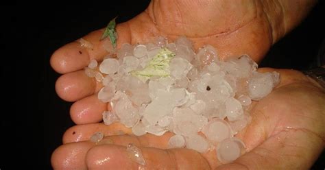 G1 Chuva De Granizo Derruba árvores E Deixa Moradores Sem Luz Em