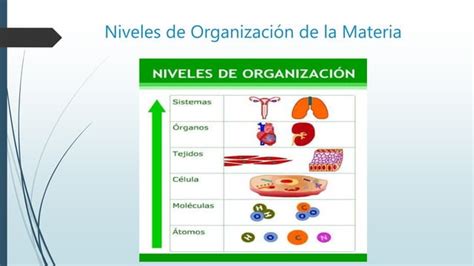 Introduccion A La Fisiologia PPT