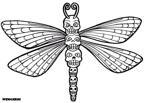 Dragonfly Coloring Pages For Adults At Getdrawings Free Download