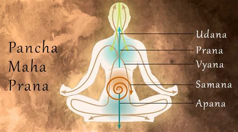 How Prana Works Monad Yoga Online Online Yoga Classes