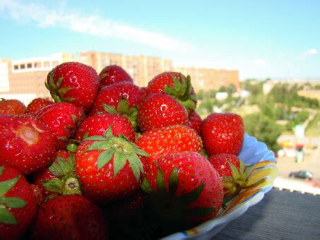 Free Images Plant Sun Fruit Berry Food Red Produce Shadow