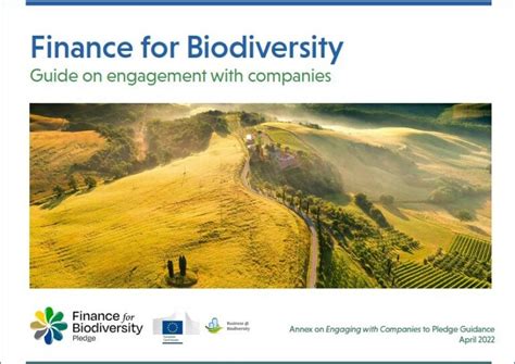 Guide On Engagement With Companies Finance For Biodiversity Foundation