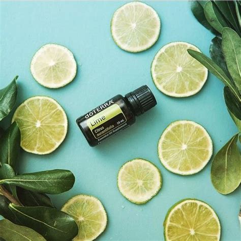 Doterra Lime Limoen Etherische Olie Ml Aromapro Doterra