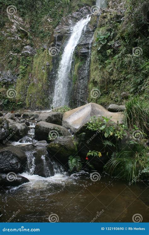 Cascada Taxopamba Waterfall Leading Into Stream Flowing Into A Pool