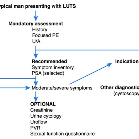 Treatment Algorithm Of Bothersome Lower Urinary Tract Symptoms Luts