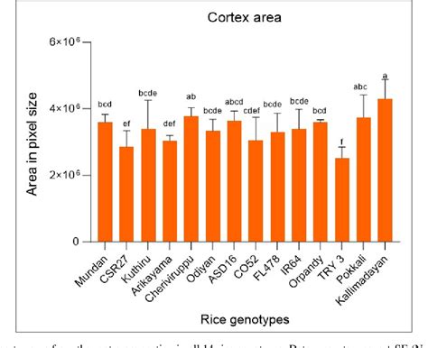 Figure 4 From Analysis Of Root Cross Section For Anatomical Features