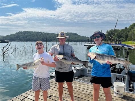 Beaver Lake Striped Bass Fishing Report Guided Striper