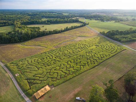 Corn Maze - Lynchburg, Rustburg, Central Virginia - Yoders' Farm