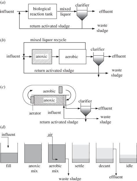 Diagram Of A A Conventional Activated Sludge System B A Modified