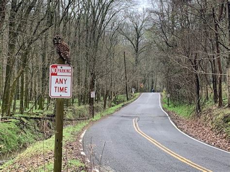 Pictures of the Day - 03/24/2020 - Friends of Radnor Lake