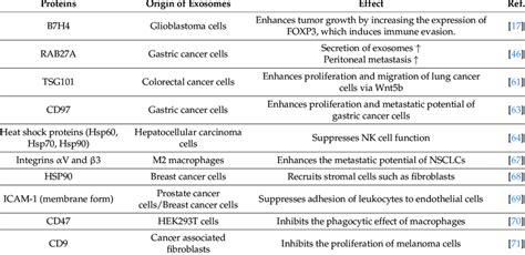 Roles Of Exosomal Proteins In Cellular Interactions ↑ Denotes Increase