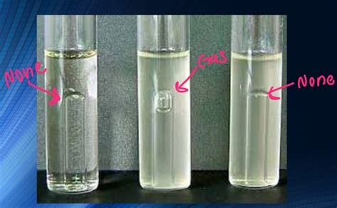 Lab 19 Bacterial Contamination Of Water Flashcards Quizlet