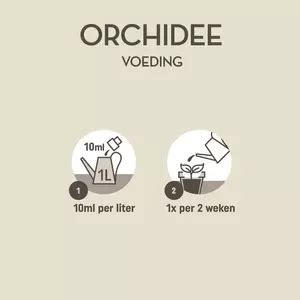 Orchidee Voeding 500ml GroenRijk Raalte