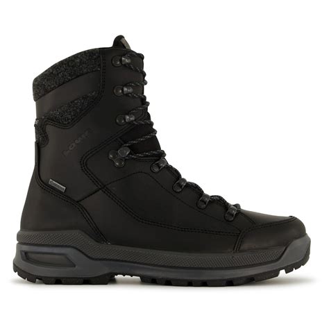 Sport Wanderschuhe Lowa Renegade Evo Ice Gtx Gore Tex