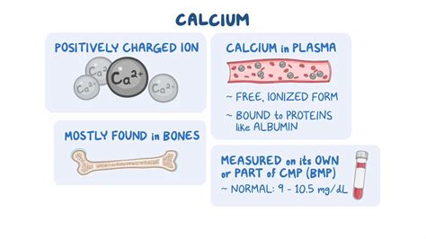 Complete Metabolic Panel Cmp Calcium Nursing Osmosis