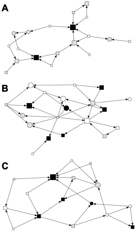 Individuals Are Represented By Nodes With Sex Indicated By Nodes