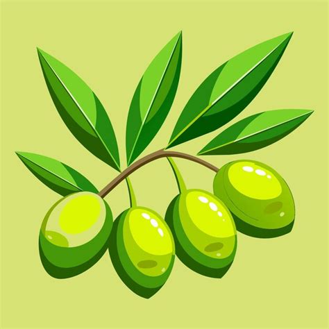 Aceitunas Verdes Vector Premium