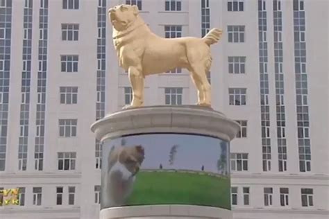 Must love dogs: Turkmenistan President unveils gilded dog monument