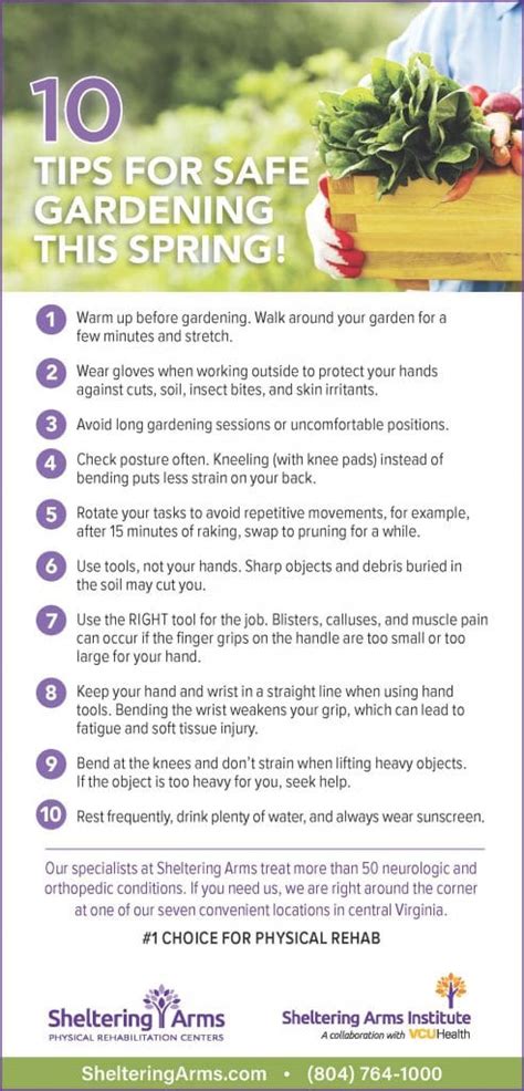 10 Tips for Safe Gardening This Spring - Sheltering Arms®