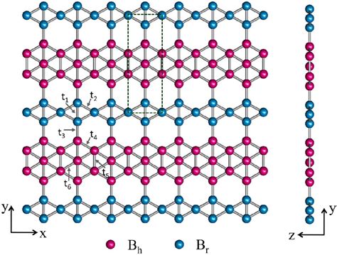 Pdf Dirac Nodal Lines And Tilted Semi Dirac Cones Coexisting In A