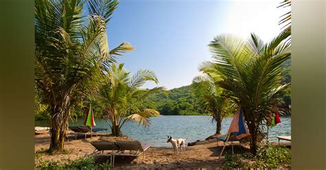 Sweet Water Lake Arambol Nature Lover S Paradise Lbb Goa