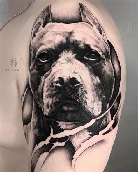 Amazing Pit Bull Tattoo Ideas You Will Love Outsons Men S