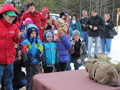 Groundhog Day Celebration - Wildlife In Need Center