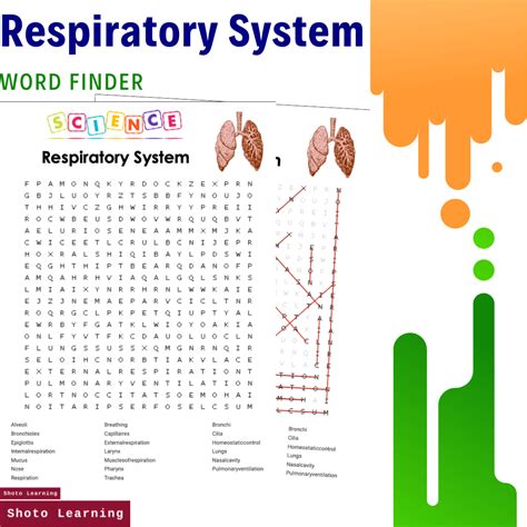 Respiratory System Science Activity Word Find Finder Game Vocabulary