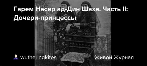 Гарем Насер ад-Дин Шаха. Часть II: Дочери-принцессы: wutheringkites ...