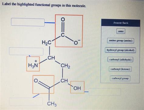 Solved Label The Highlighted Functional Groups In This Chegg