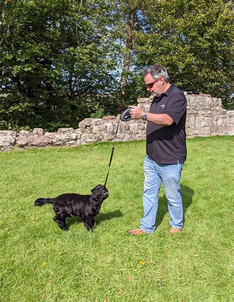 Duncan And Dexter Norham Castle September Alljengi Flickr