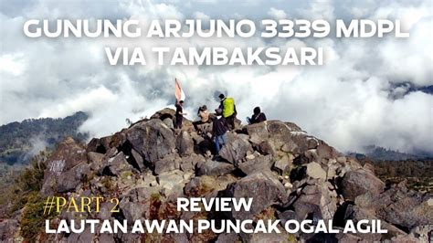 GUNUNG ARJUNO VIA TAMBAKSARI PURWOSARI PART 2 Review LAUTAN AWAN