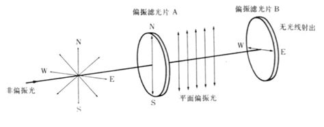 常规仪器鉴定 §4偏光镜