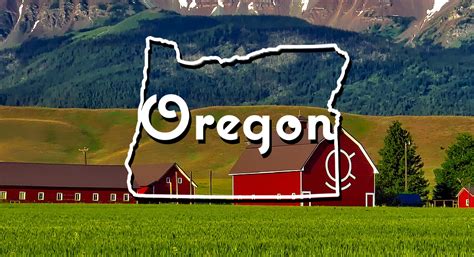 Oregon Collection 50 Element