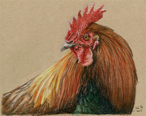 Rooster Colored Pencil By Lost Nomad07 On Deviantart