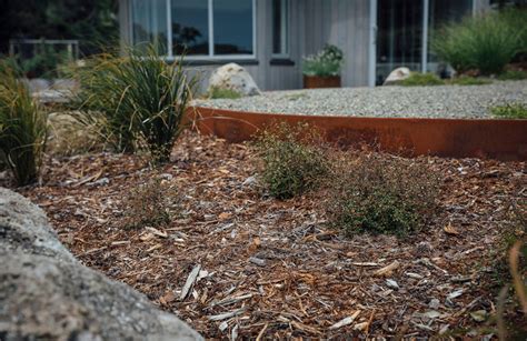 Forest Floor Mulch Centrallandscapes