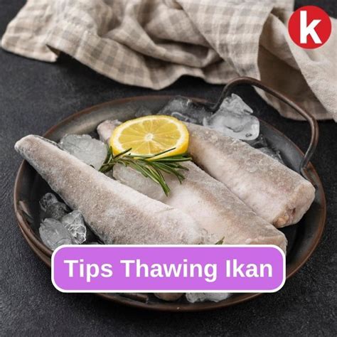 Tips Melakukan Thawing Ikan Yang Benar Gaya Hidup