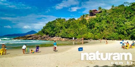 Praia do Tenório Ubatuba Guia 2024 NATURAM