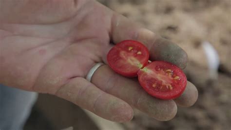 Черри Элизабет F1 - YouTube