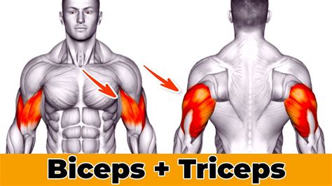 Add These 6 Exercises On Your Next Arm Day Bicepstriceps Workout Youtube