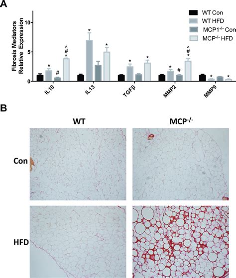 Markers Of Fibrosis A Relative Mrna Expression Of Fibrosis Markers In